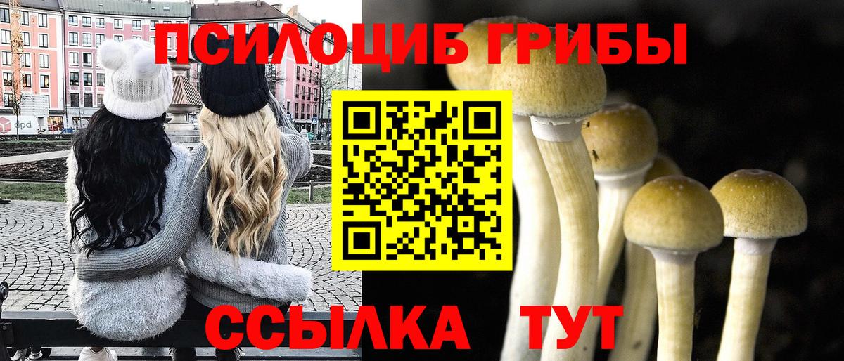 Галлюциногенные грибы мухоморы  Вход с VPN  Гурьевск 