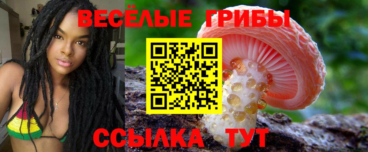 ГАШИШ  Гурьевск  Лсд 25  Меф МЯУ МЯУ кристаллы  Вход с VPN 
